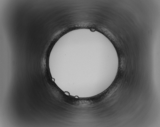 X0000099980636200806131400