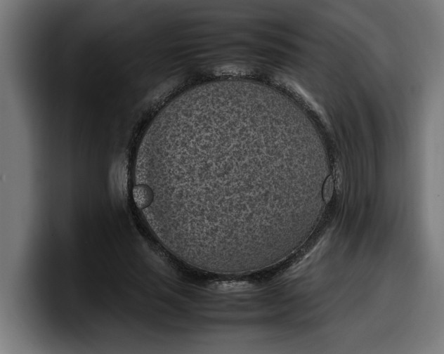 X0000099980637200806131400