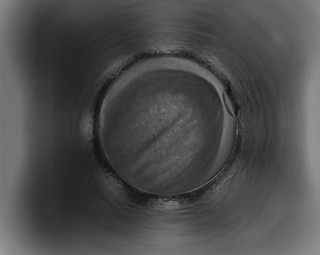 X0000099980640200806131400