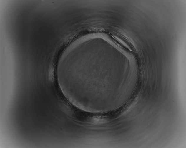 X0000099980641200806131400