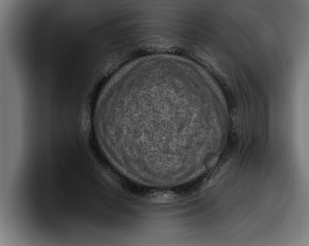 X0000099980642200806131400