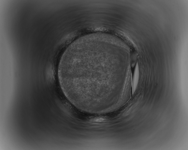 X0000099980643200806131400