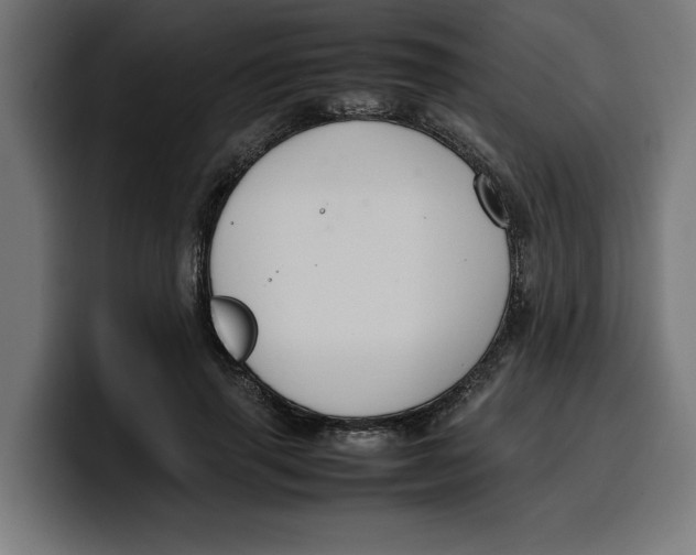 X0000099980645200806131400