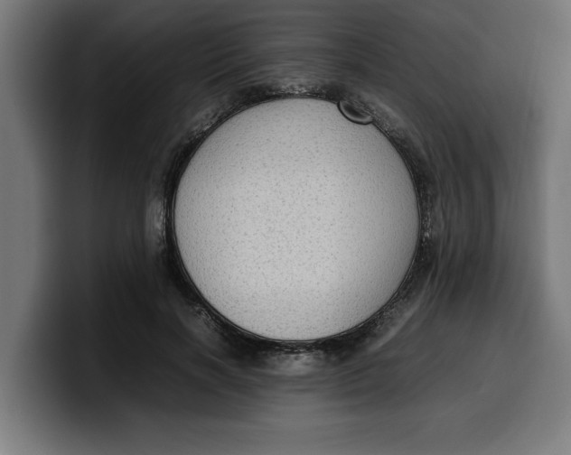 X0000099980646200806131400