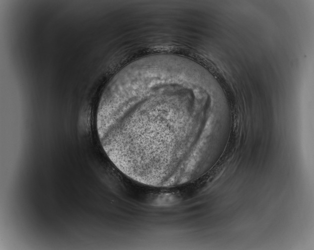 X0000099980647200806131400