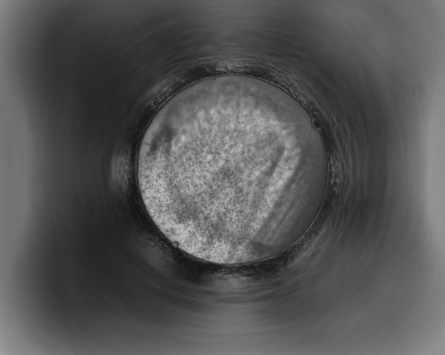 X0000099980648200806131400