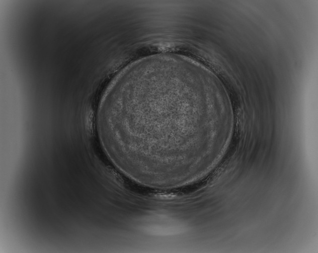 X0000099980650200806131400