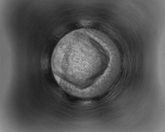 X0000099980651200806131400