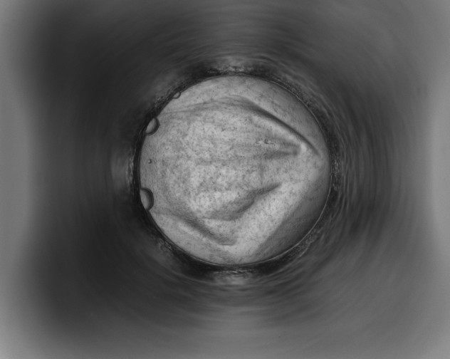 X0000099980652200806131400