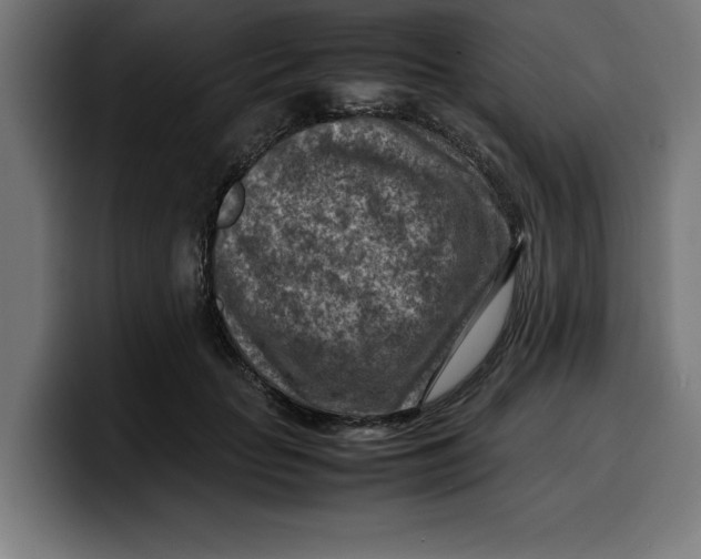 X0000099980653200806131400