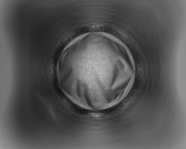 X0000099980654200806131400