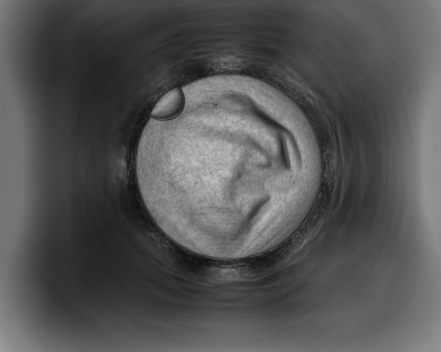 X0000099980655200806131400