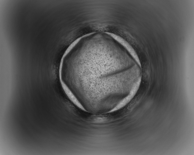 X0000099980658200806131400