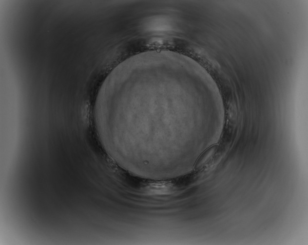 X0000099980659200806131400