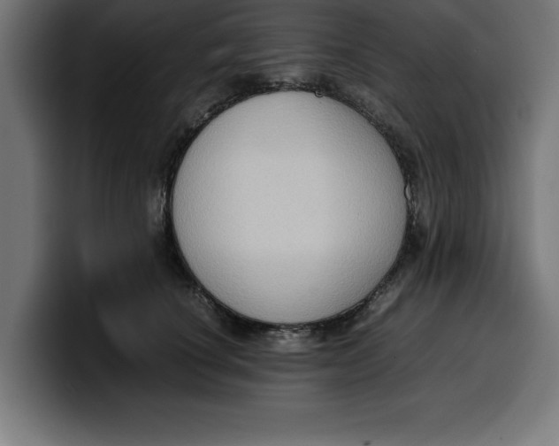 X0000099980660200806131400