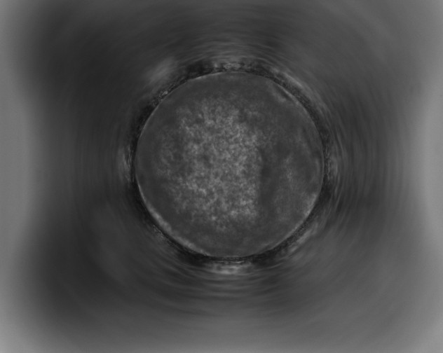 X0000099980661200806131400