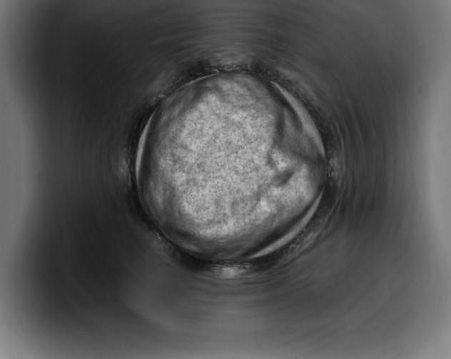 X0000099980662200806131400