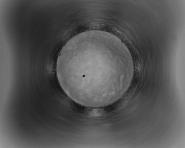 X0000099980663200806131400