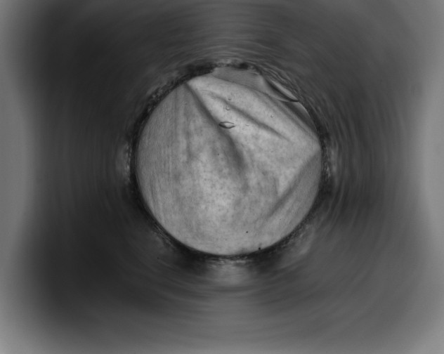 X0000099980664200806131400