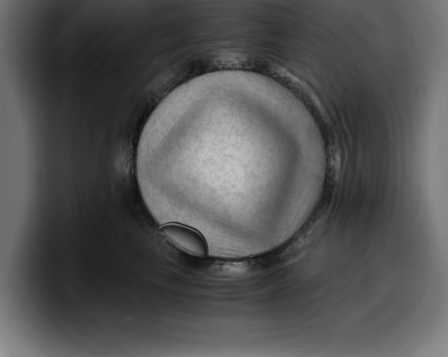 X0000099980665200806131400