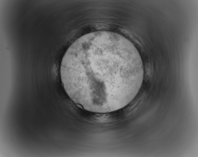 X0000099980667200806131400