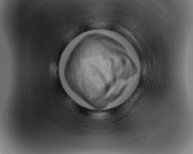 X0000099980669200806131400