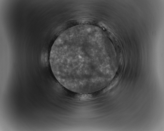 X0000099980670200806131400