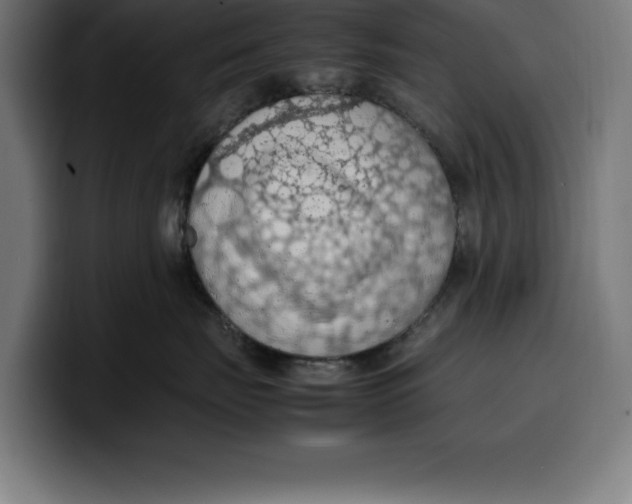 X0000099980671200806131400