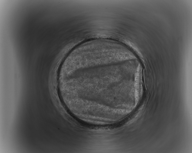 X0000099980673200806131359