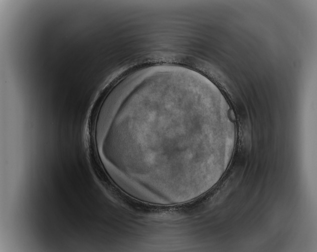 X0000099980674200806131359