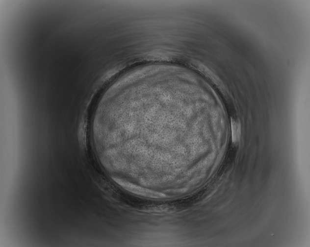 X0000099980675200806131359