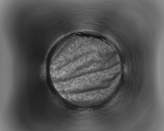 X0000099980676200806131359