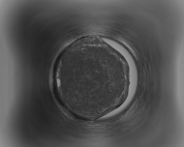 X0000099980677200806131359