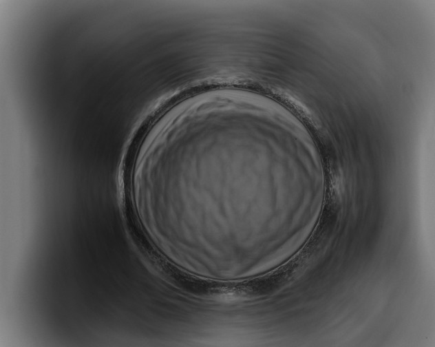 X0000099980678200806131359