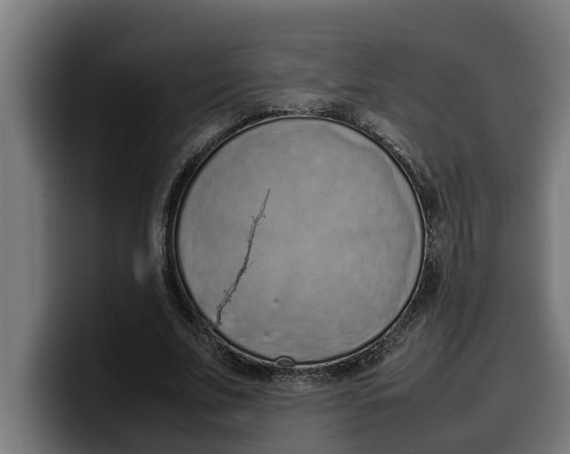 X0000099980679200806131359