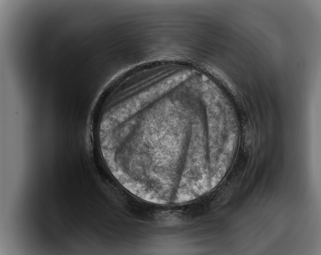 X0000099980680200806131359