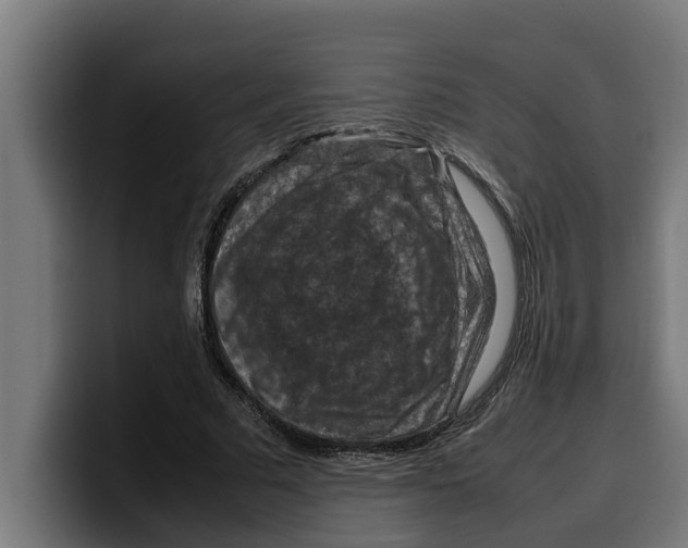 X0000099980681200806131359