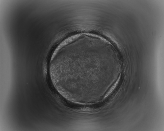 X0000099980685200806131359