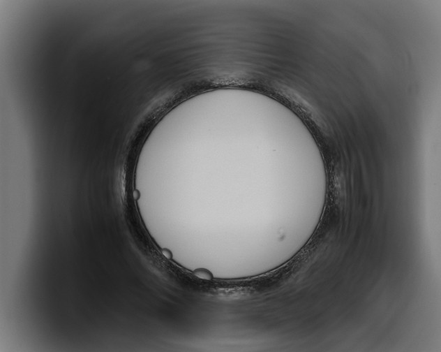 X0000099980686200806131359