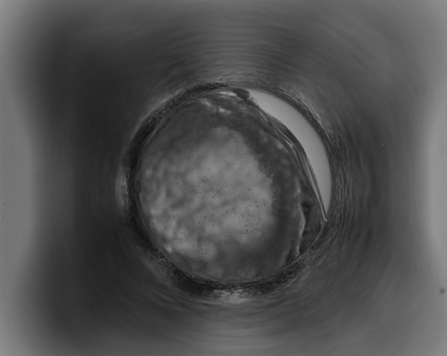 X0000099980688200806131359