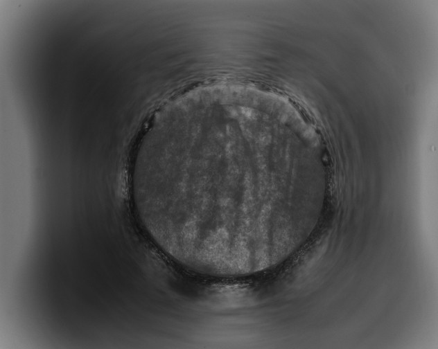 X0000099980689200806131359