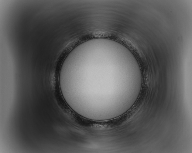 X0000099980690200806131359