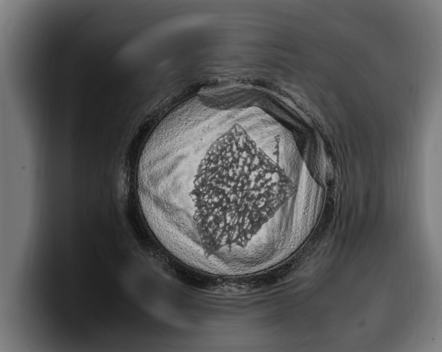 X0000099980691200806131359