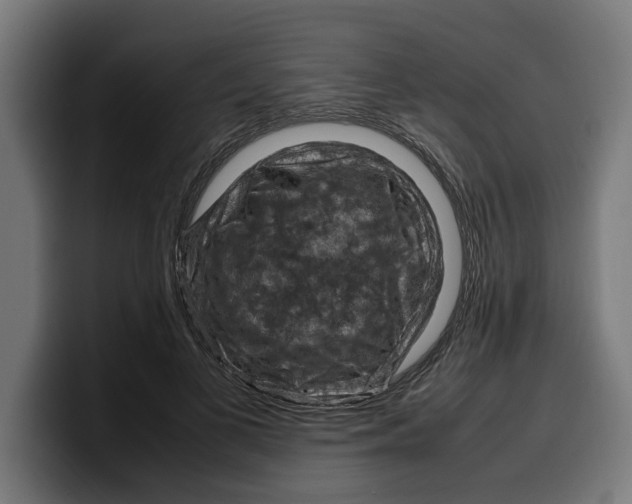 X0000099980693200806131359