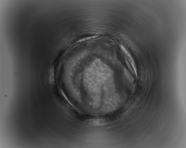 X0000099980696200806131359