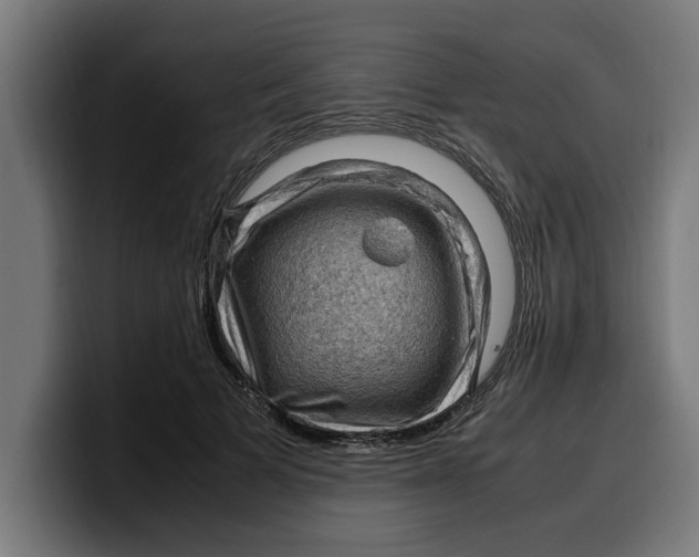 X0000099980697200806131359