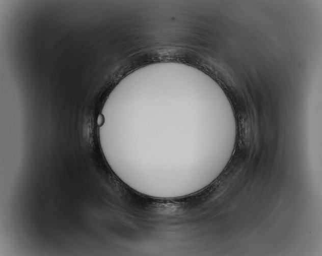 X0000099980698200806131359