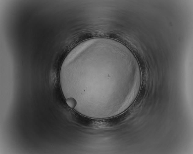 X0000099980699200806131359