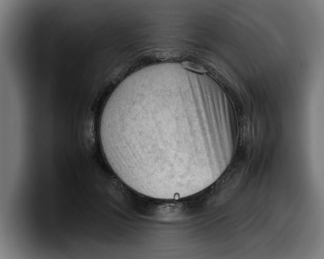 X0000099980700200806131359