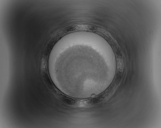 X0000099980701200806131359